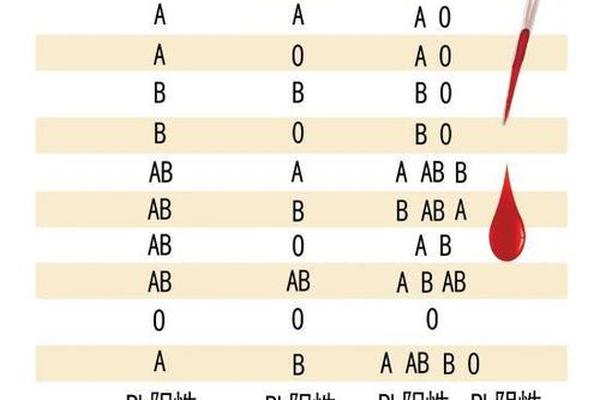 a血型 ab 熊猫血是什么血型