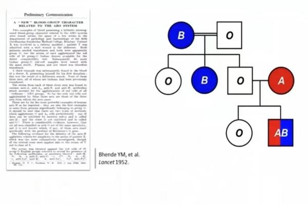 a血型跟o血型的孩子 o加a结合生什么血型