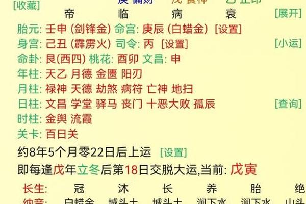辛巳天干地支都是金、辛巳是金还是火