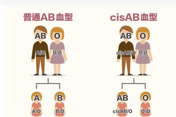 母亲b血型父亲a血型孩子的血型、父亲血型b母亲o孩子是