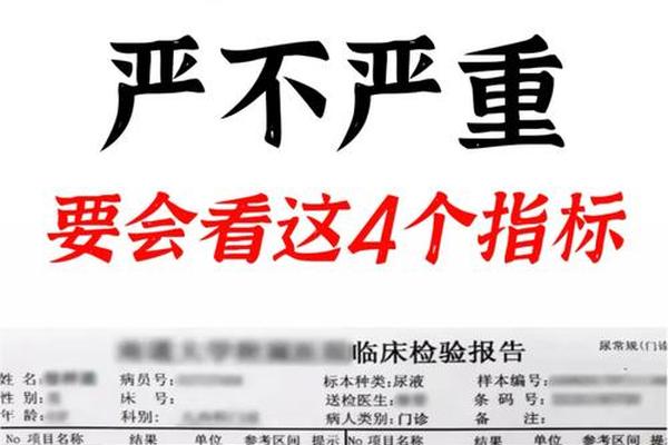 b血型能给a血型捐肾吗-捐肾必须血型一样吗