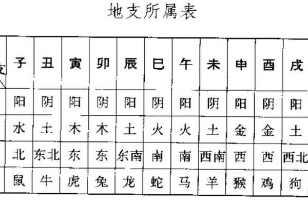 天干地支属木怎么办_五行是看天干还是地支