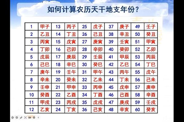 天干地支农历软件;天干地支查询器