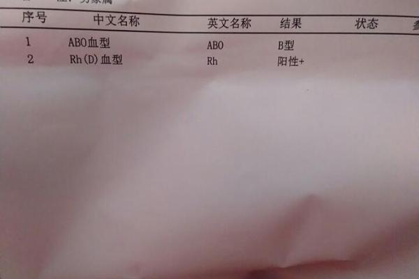血型a rh是阴性-rh阴性血ab型血最贵