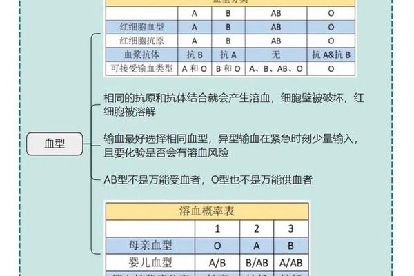 怀孕abo血型是A 孕期怎么干预ABO溶血