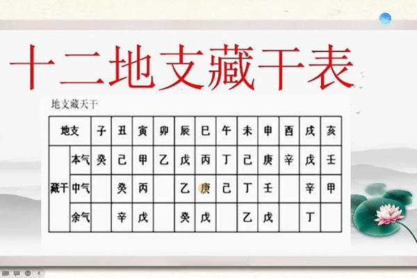 天干地支 神算八肖(八字本期打一生肖)