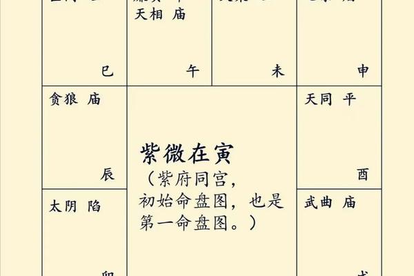 紫薇天干地支 紫薇斗数天干的用法