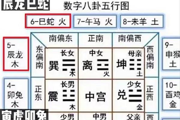 天干地支代表能量、数字能量12代表什么