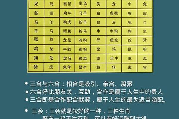 天干地支冲克 十二地支刑冲克害表