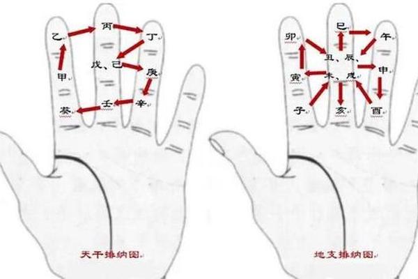 天干地支 掐指_掐指一算天干地支