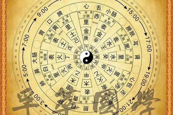 器官对应天干地支-天干地支与五脏六腑的对应表