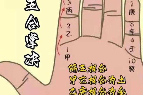 天干地支对应手上,天干地支表