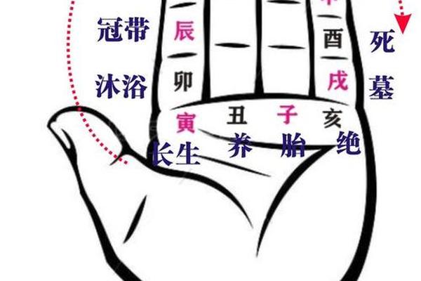 手指怎样算天干地支;十天干十二地支手掌图