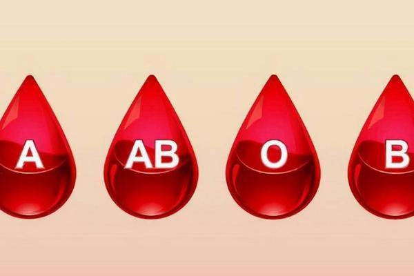 a b=血型形、ab型血为什么叫聪明血 a b=血型形、ab型血为什么叫聪明血