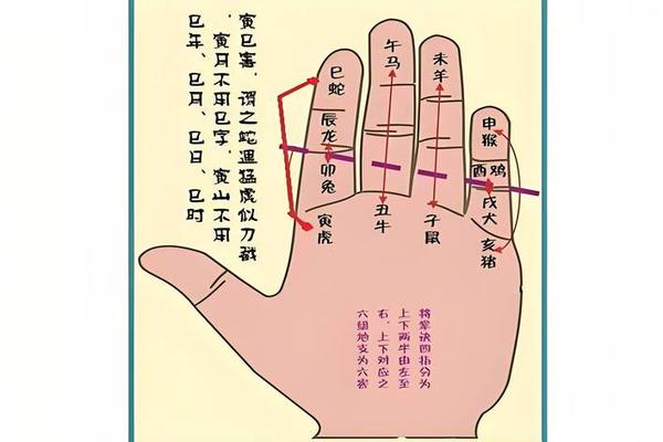 命理风水学入门基础