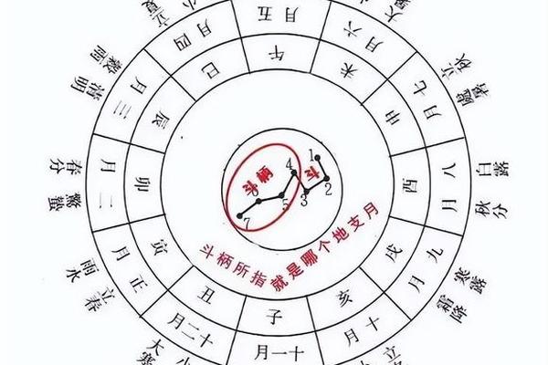 天干地支术动画_天干地支的日历app