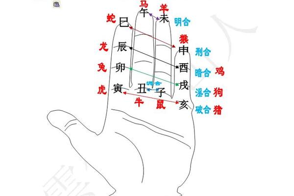天干地支掌诀;十二地支掌诀怎样推算