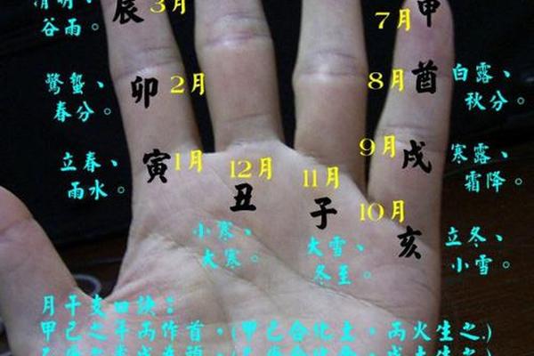 掐指算天干地支月份、怎么用手指掐算日干支
