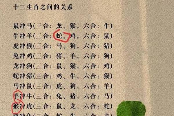 生肖牛a血型,属狗的最有福气的血型 生肖牛a血型,属狗的最有福气的血型