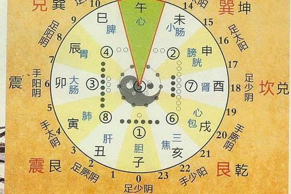 眼对应天干地支;十二地支对应人体部位口诀