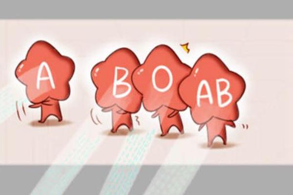 血型A B O AB—ab型血为什么叫贵族血