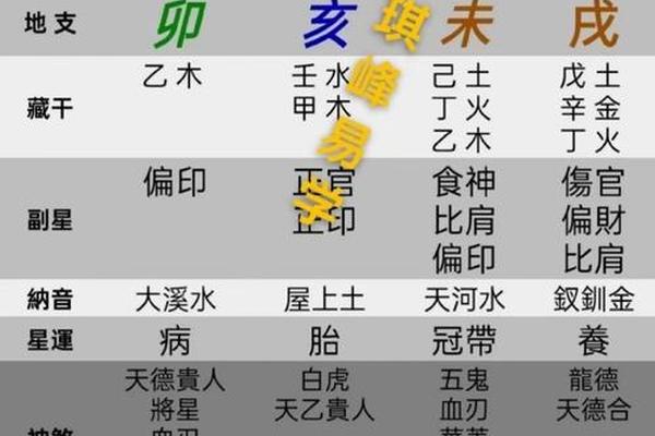 天干地支为辛亥;辛亥年柱分析
