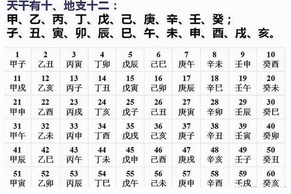 11岁的天干地支(天干10地支12)