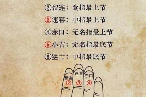 拇指表示天干地支—天干地支手指图记忆法