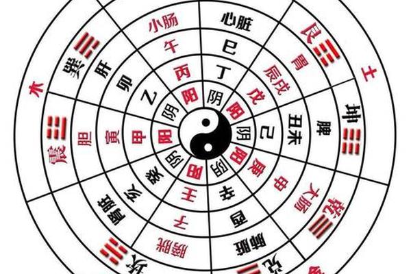 壬在天干地支中的位置图-十二天干地支