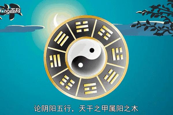 阴阳天干地支动图—十二天干地支阴阳对照表