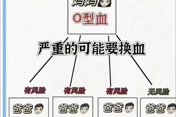 妈妈血型o新生儿血型A,为什么母亲是o型血容易溶血