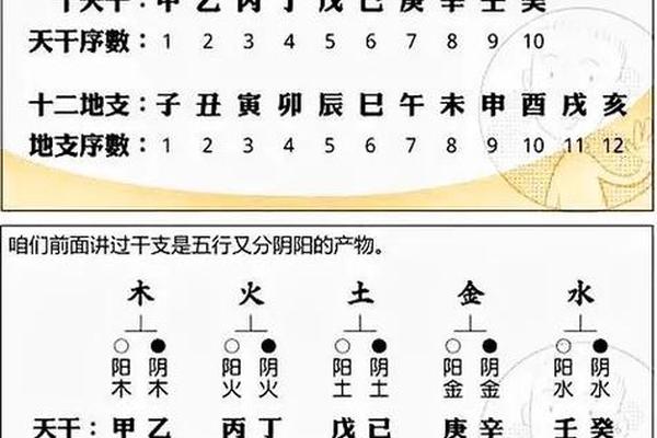 牛对应的天干地支_十二地支牛属什么