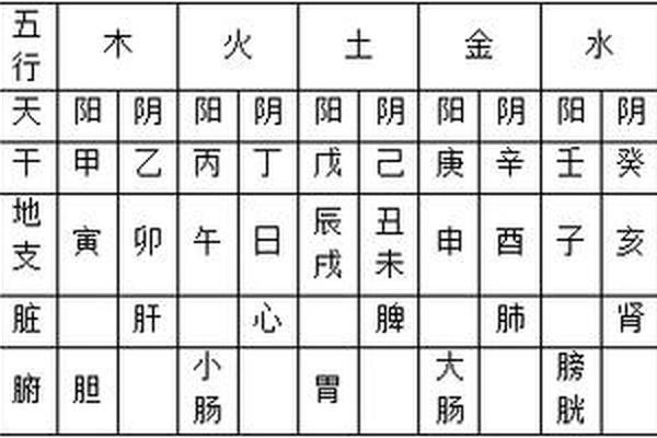 天干地支对应脏器(天干地支脏腑对照表)
