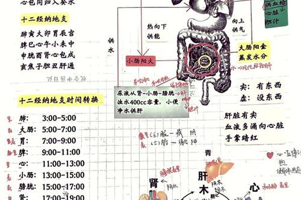 天干地支秘密全集 中医与天干地支的秘密