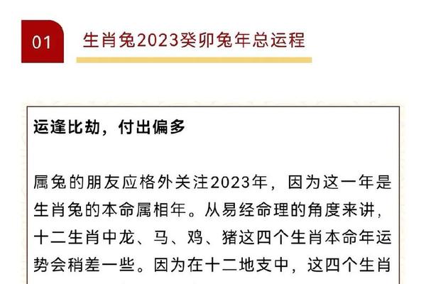 兔年天干地支 癸卯兔年是什么意思