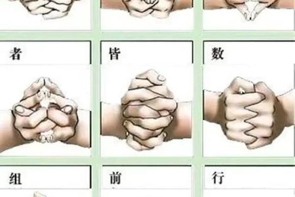 结印天干地支;八字看印