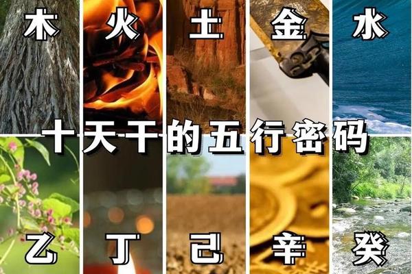 五行中哪个是天干地支,天干地支是易经中的吗