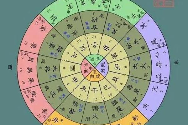 天干地支如何轮转(天干地支转换器)