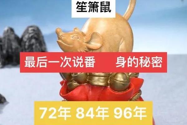 96鼠天干地支—96鼠是什么属性的鼠