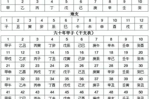 天干地支在八卦排位_天干地支五行对照表