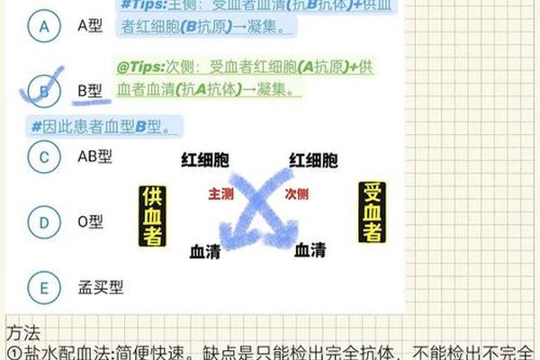 血型抗a抗b科学;抗a抗b血型的正常值