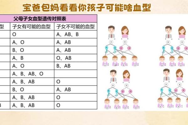 A和B血型遗传,B血型的人有什么特点 A和B血型遗传,B血型的人有什么特点