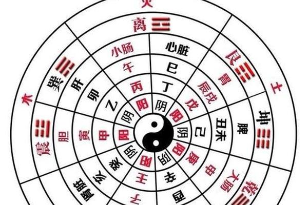 天干地支是乾坤吗-八卦里乾坤分别对应什么