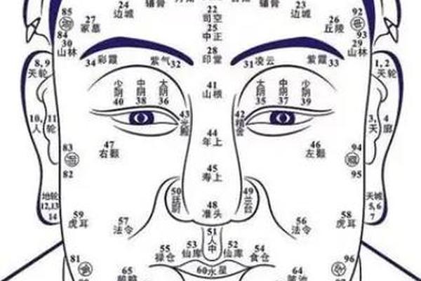 风水学入门面相图解大全