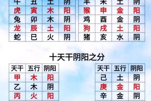阳性天干地支_十二地支阴阳属性表