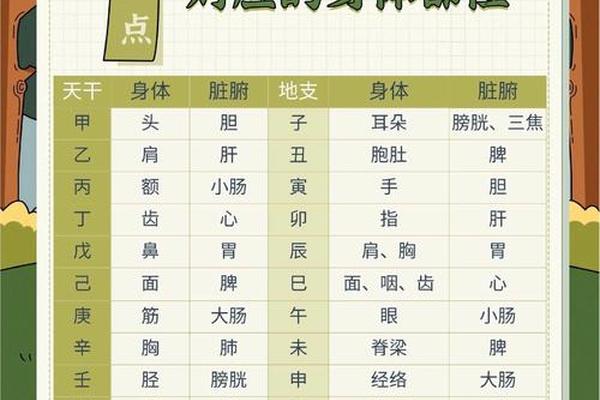 天干地支怎样使用、天干地支怎么对应