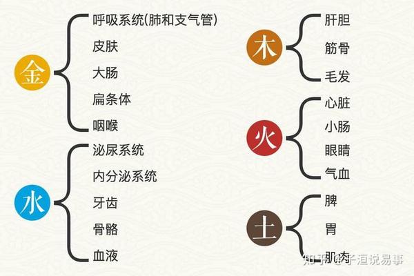 疫情爆发天干地支(天干地支断疾病)