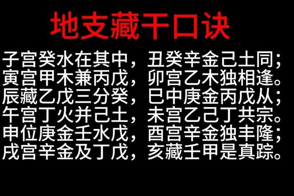 廖墨香天干地支(最准确的12地支藏干表)