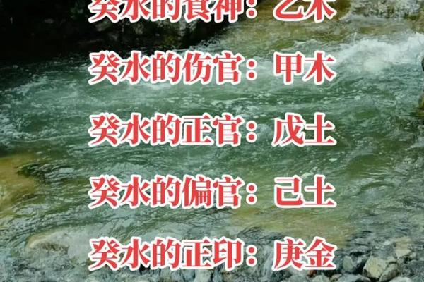 天干地支癸己_己土是癸水的什么