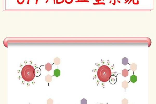 abo血型显示a(ab0血型A是什么意思)
